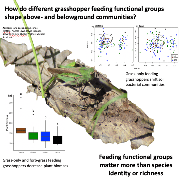 Screen Shot 2019-02-25 at 10.27.55 AM.png