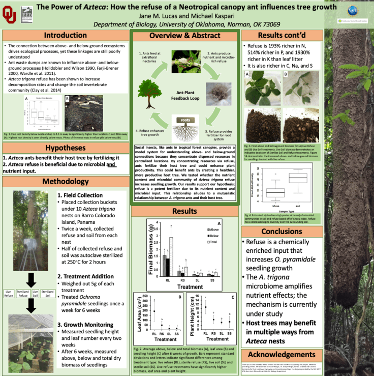 Screen Shot 2019-02-25 at 9.45.56 AM.png