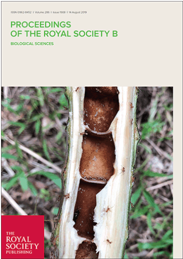 Screen Shot 2019-08-07 at 11.06.46 AM